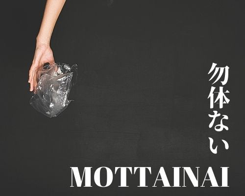 What is MOTTAINAI?