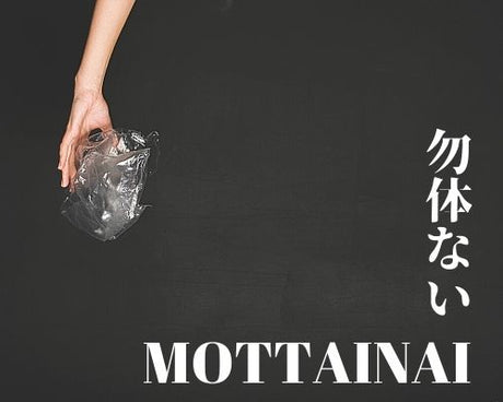 What is MOTTAINAI?