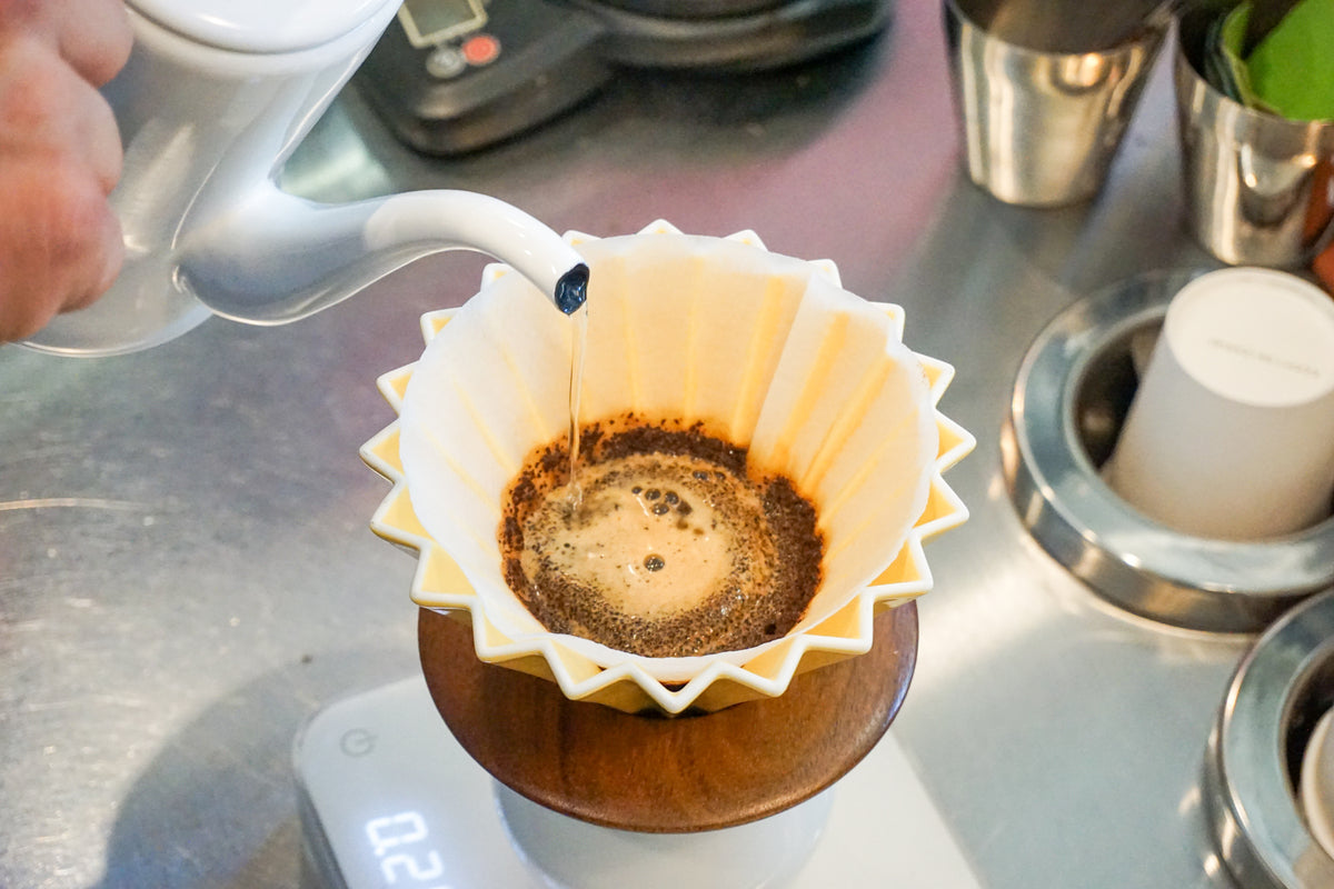 ORIGAMI Original Paper Filter LOIS the Store